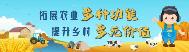 2022年中国美丽休闲乡村名单公布！广东10个乡村入选
