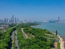 埃菲·杰曼诺夫：投身到粤港澳大湾区高水平教育和研究中心建设中