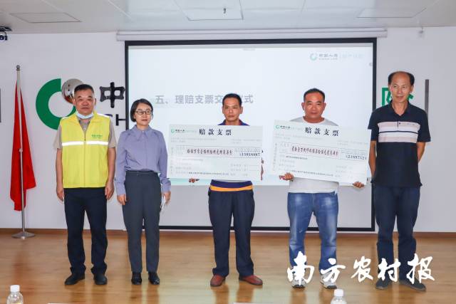 中国人寿财险广东省分公司“保险+期货”服务，为茂名、肇庆等地养殖户锁定养殖利润。