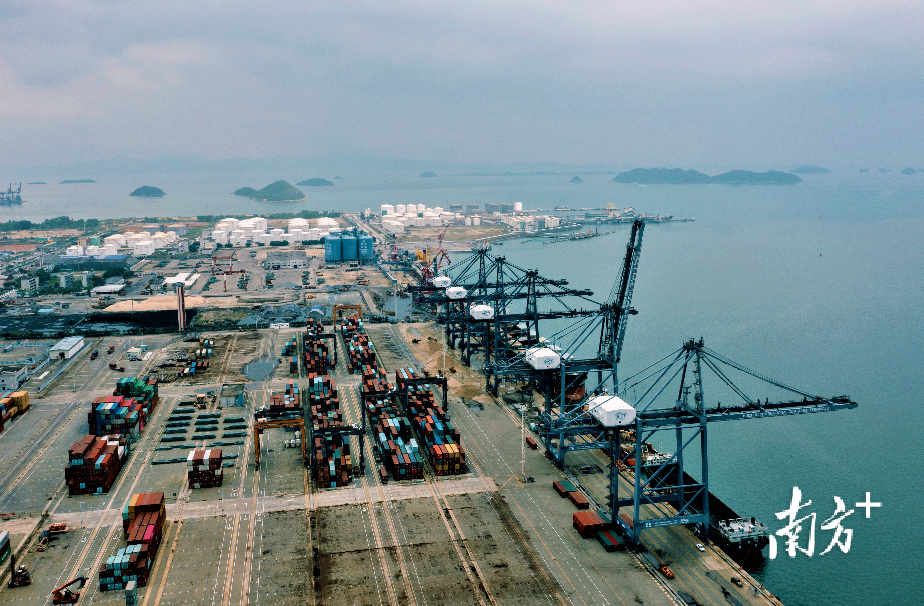    惠州国资国企加快推动港口码头建设。南方+ 王昌辉 拍摄