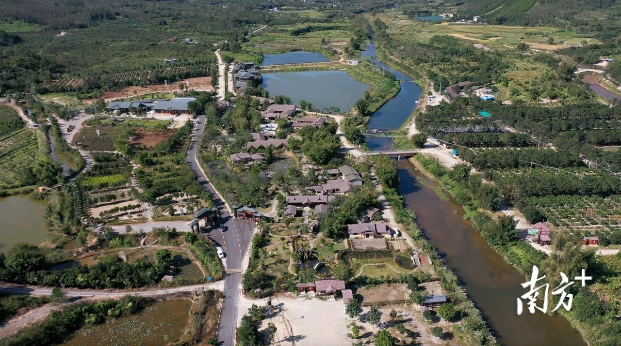 图为美丽的大安村。