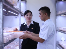 周姗：让小菌菇撑起农业“致富伞”|二十大代表在基层