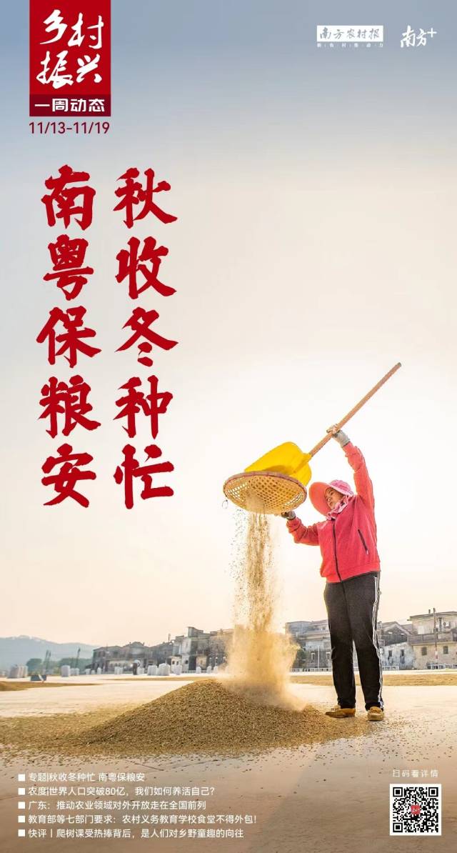 秋收冬种忙 南粤保粮安