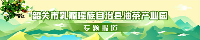 乳源油茶成富民兴村强县的“黄金”产业