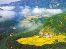 广宁竹产业如何破局？本期《南方日报·肇庆观察》提供“思考指南”