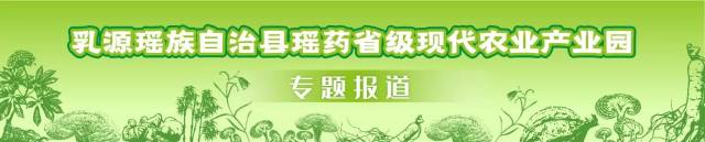 瑶药+康养！乳源山水之间新天地等你来打卡