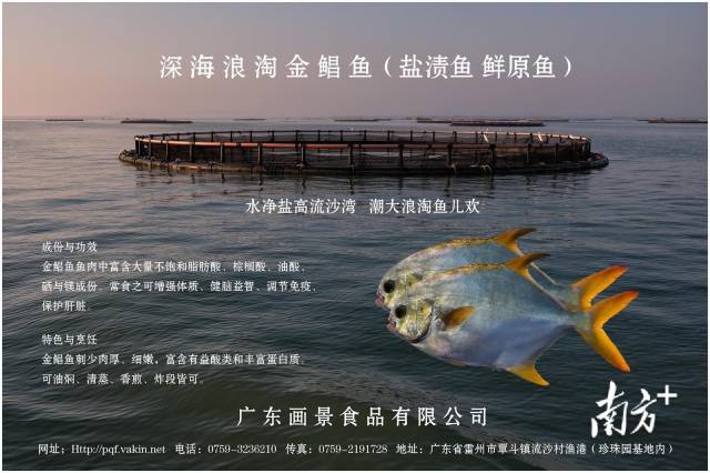 畫景食品部分產(chǎn)品展示圖