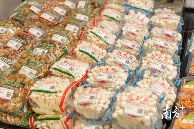 韶关食用菌产品。