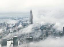 南方视频 | 绿道深处是深圳