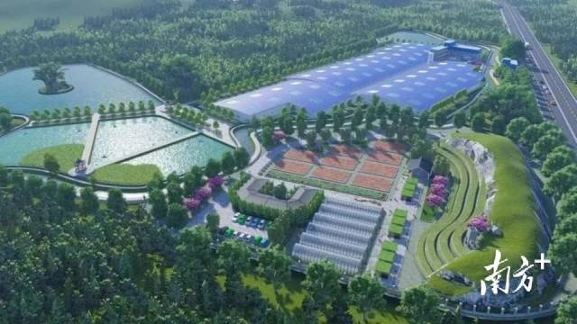 天马科技集团智能化绿色生态养殖基地