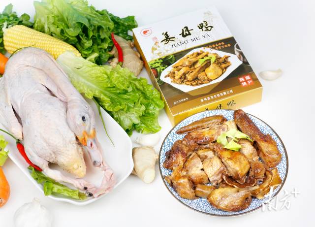 天马科技集团姜母鸭产品