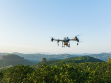 年轻人奔赴田野，“技术控”玩转新农业|寻找数字化标杆⑤