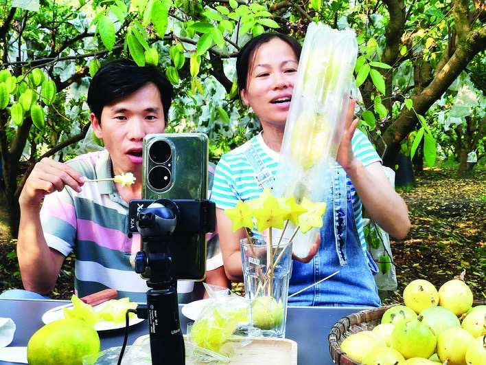 80后夫妻“三哥三嫂”通过网络直播推广龙门原生态农产品。 