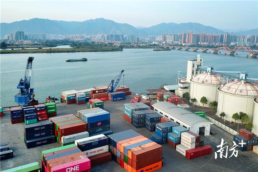 清远外贸进出口总值于2021年突破500亿元关口，实现自2015年以来的“七连增”。梁素雅 摄