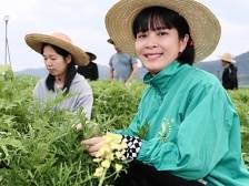 梁碧华：带领乡亲们过上更美好生活|二十大代表在基层