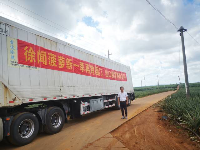 出口俄罗斯，拿下吉尔吉斯斯坦400吨订单，徐闻菠萝出口势头强劲