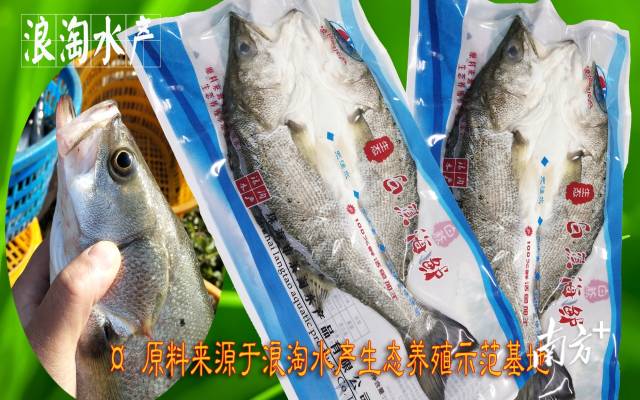 受訪者供圖