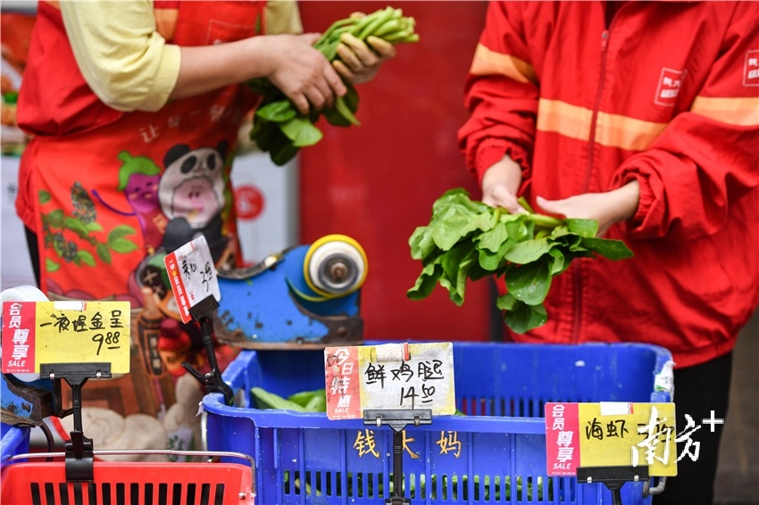 11月27日上午，清城区峡江东路社区生鲜店，各类新鲜蔬菜有售。