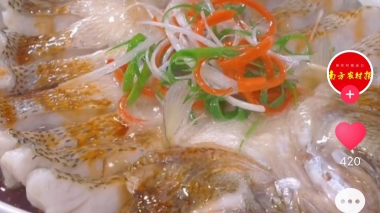666w次播放！#年年有魚粵鮮粵好  年魚“拼圖”邀你參與