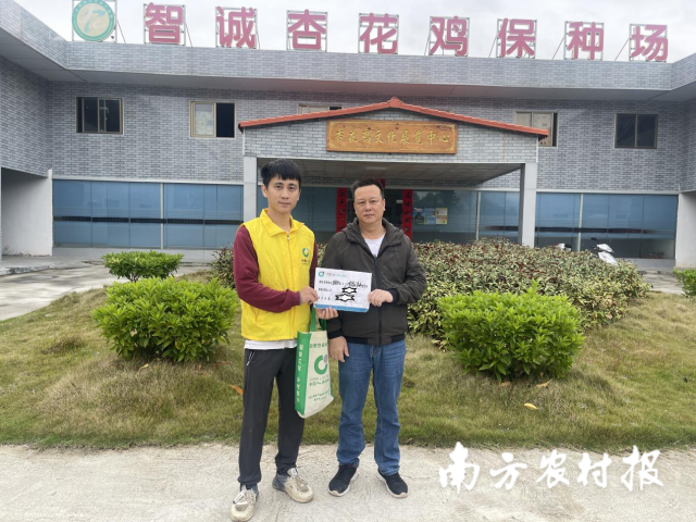 超3000万元价格风险保障，“稳住”封开蛋鸡养殖利润