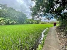 驻梅江区城北镇帮镇扶村工作队：精准帮扶“种”出好日子