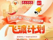 持续更新 | 菜价回温！一线直击广东北运菜保供促销“飞渡计划”