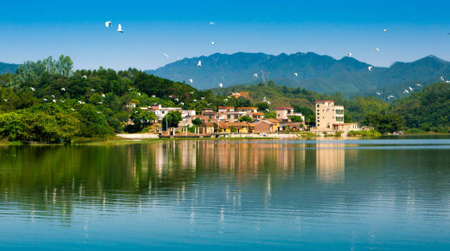 四会乡村美景。邓小川 摄