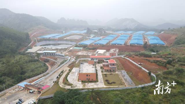 云浮市云安区生猪产业园