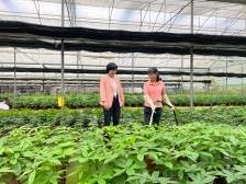 李勤贤：村企共建做大做强特色花卉产业 | 二十大代表在基层