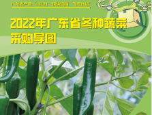 采购不迷路！2022广东省冬种蔬菜采购导图来啦