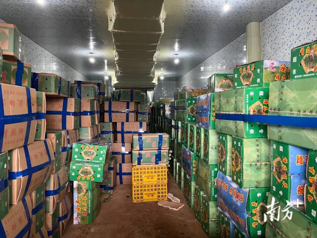 田头小站助力冬种菜保鲜减损，争取销售主动｜“飞渡计划”系列报道④