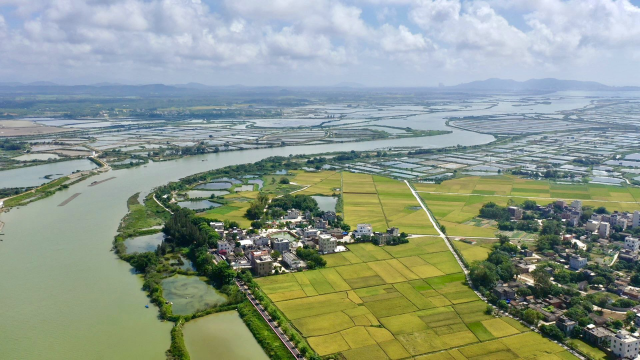 边海村从昔日小渔村蝶变为富饶的“鱼米之乡”。受访者供图