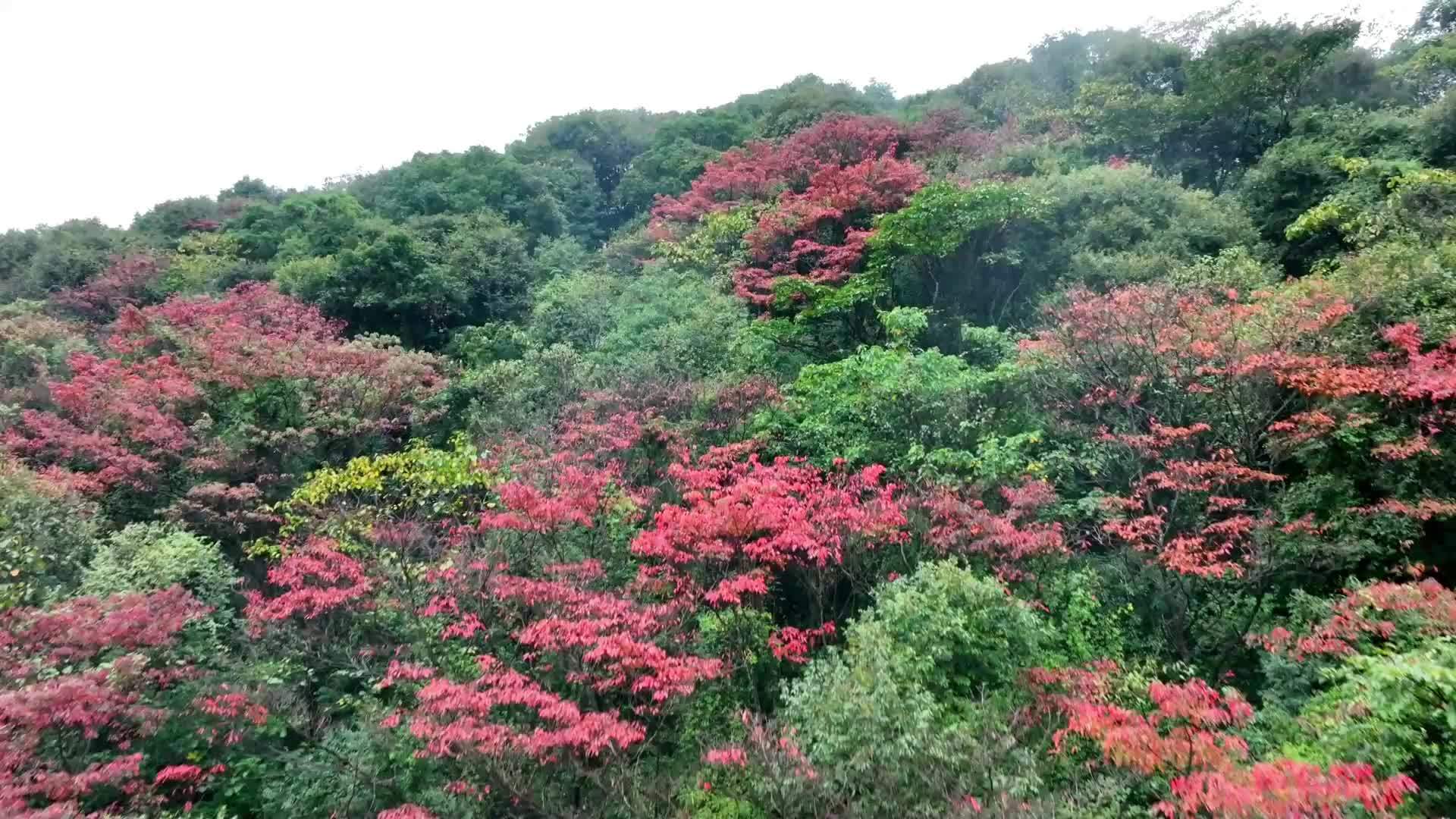 始兴北山景点图片