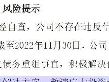 ST泰禾：全面债务重组解决方案尚未形成