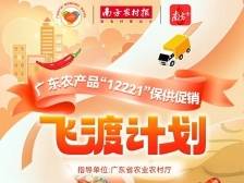 广东冬种菜“飞渡”踏通途