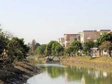 南沙榄核：保护一方碧水，看“民间河长”这样做