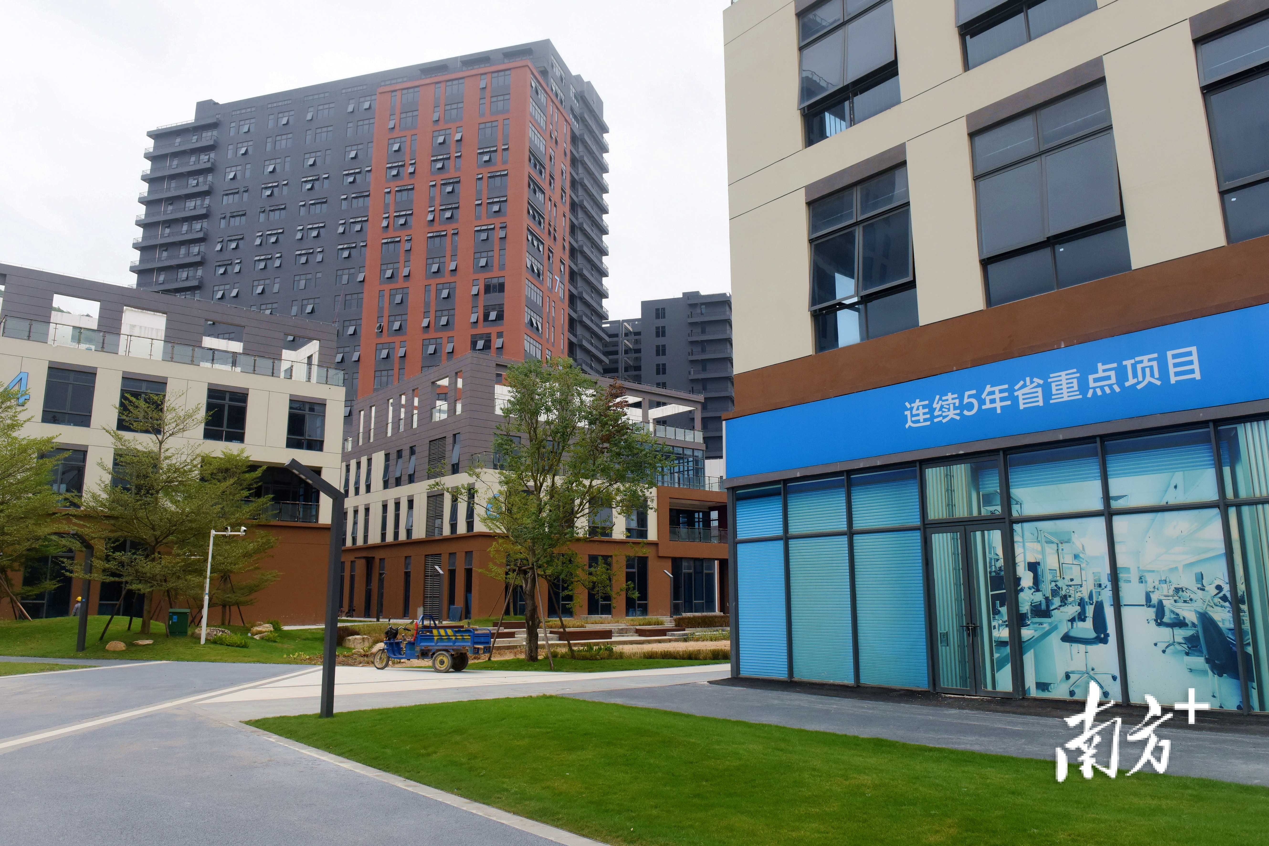 惠阳梅龙湖智能制造产业新城一期引进55家企业，其中八成来自深圳。梁维春 摄