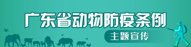 祝贺！“动物防疫条例知多少”普法宣传荣获广东省“谁执法谁普法”优秀项目