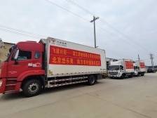 原产地直发！四万斤遂溪圣女果销往多地市场｜“飞渡计划”系列报道⑨