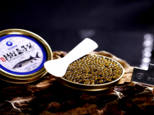 黑龙江“年鱼”跨越3000公里游向大湾区！探索粤黑省际农业合作新模式