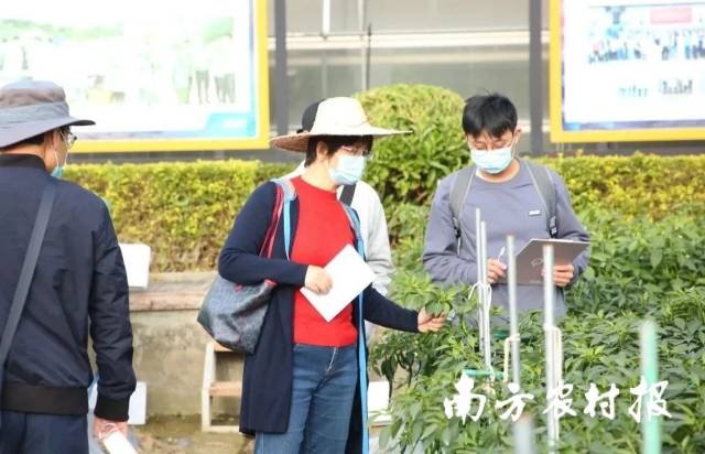 南方农村报 测试11 拍摄