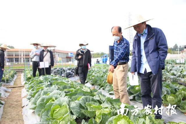 南方农村报 测试11 拍摄