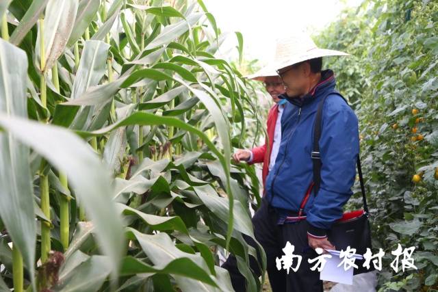 南方农村报 测试11 拍摄