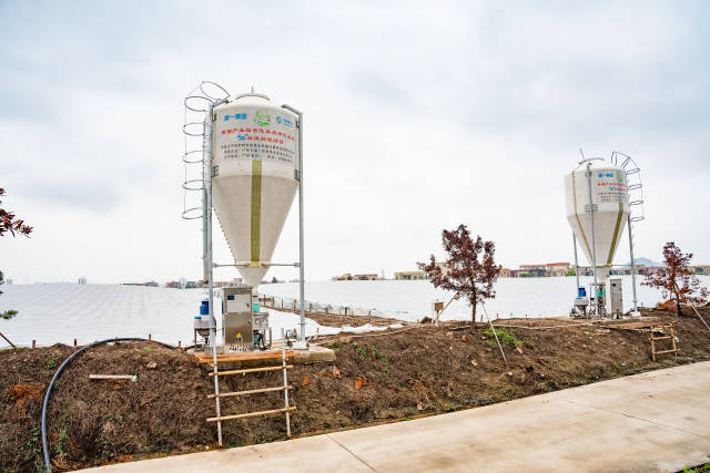 基地鱼塘覆上防寒大棚，每块塘边都安装5G智能投喂机。