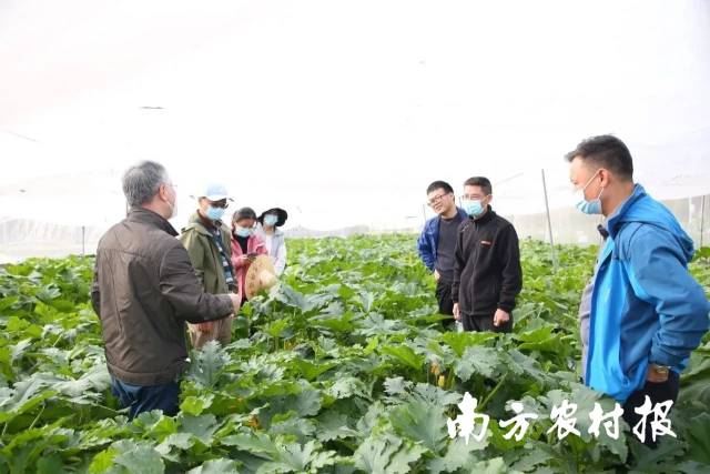南方农村报 测试11 拍摄