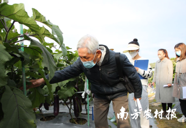 南方农村报 测试11 拍摄