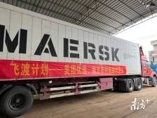 广东冬种菜“飞渡”上餐桌