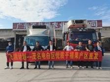 冷链直运鲜销全国！茂名电白发车千禧果16万斤｜“飞渡计划”系列报道⑪
