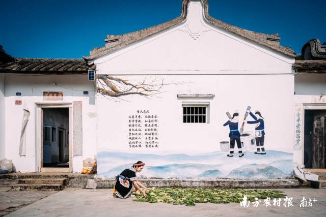 李工坑村因雷姓居多又称雷乡