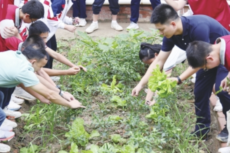 石门实验学校体艺节爱心义卖活动，师生采摘亲手种植的蔬果并进行义卖。